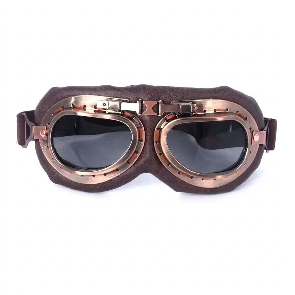 motorcycle accessory
